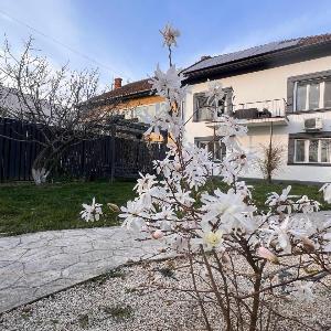 Moon Stylish -FREE parking -Romantic City Stay
