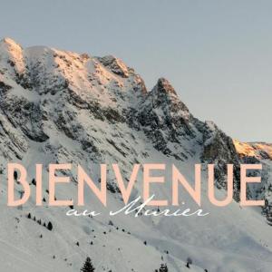 Chalet Au Murier Bourg Saint Maurice