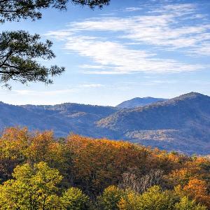 Private Smoky Mountain Cabin with Hot Tub and Views Minutes to Dollywood and Gatlinburg