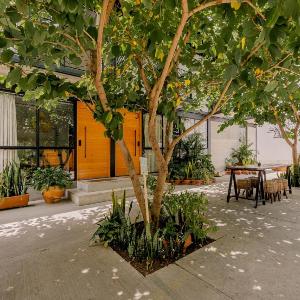 COMPLEJO GARCIA · Apartment Complex with Greenery Steps to Zocalo