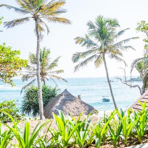 Petti Petti Beach Club- Mirissa