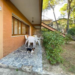 Relaxing stay with garden