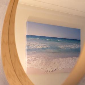 Coastal Oasis
