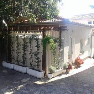 Apartments with parking space Biograd na Moru Biograd - 25385