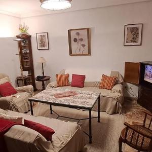 Amplio Apartamento Plaza Nueva