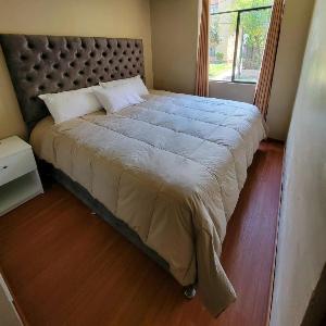 Llama House Cusco