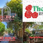 The Roses 3 units in the Heart of the City