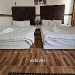 Dawn tawn velavet 