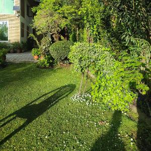 The Chinar Studio
