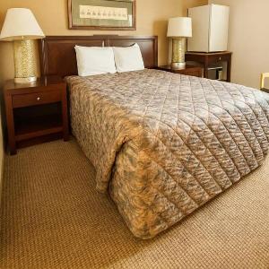 Nisswa Hotel and Suites - Standard Single Queen