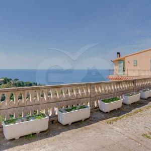 Villa Flora - Goelba