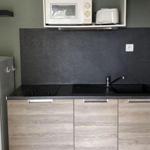 Appartement accueillant animaux OK - 4 pers. - API-1-52-2265