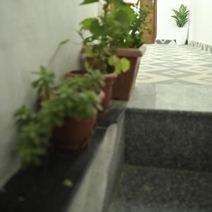 New Tourist Homestay