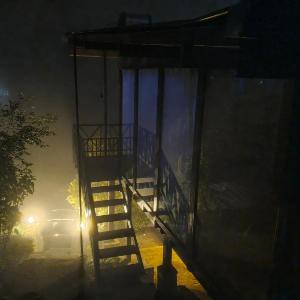 The Mist