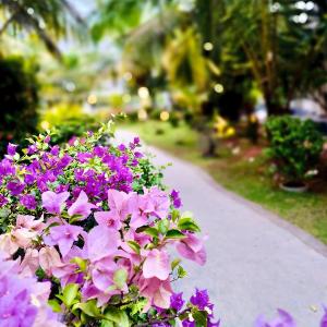 Hotel Green Garden PVT LTD
