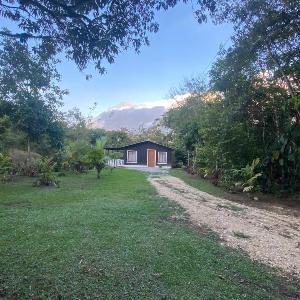 Cabañas el bosque verde