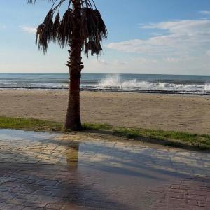 SunBeach Apartament