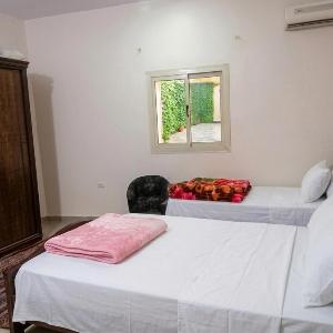 Sheko of Egypt motel