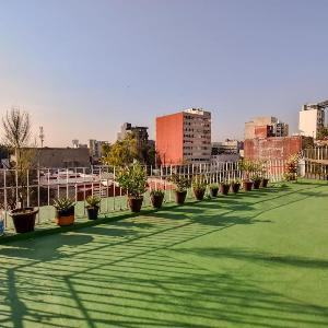 It's Always Sunny in this Roma Norte Apartment