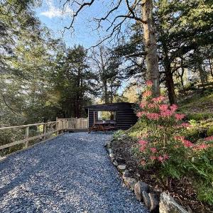 Lake District Woodland Cabin - Close to Ambleside & Langdale Valley