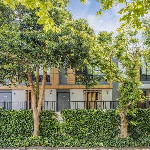 City Tree Hutt A and B