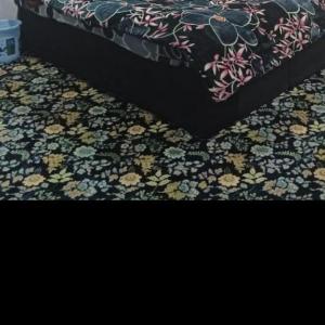Alexa Home Stay