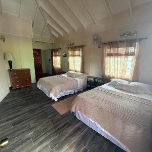 Downtown Roseau Stay Near Ferry Stadium & Bustops