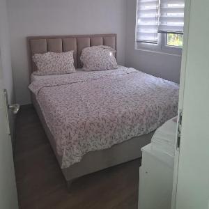 Apartment Cvetko
