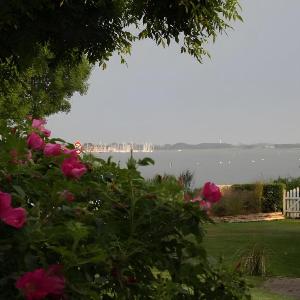Alte Mühle Schlei