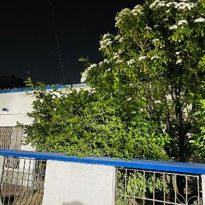 Casa Edi Hostal Santa Marta