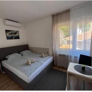 City Center Luxury Apartment Bob