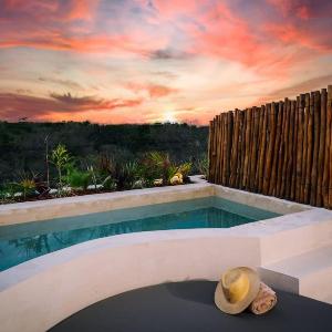 Beautiful Penthouse with Private Rooftop Pool