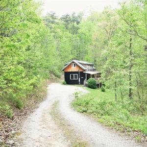 Private Forest Getaway 3-BR wHot Tub