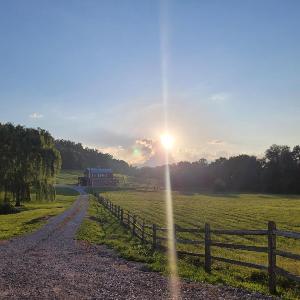 FireFly Acres