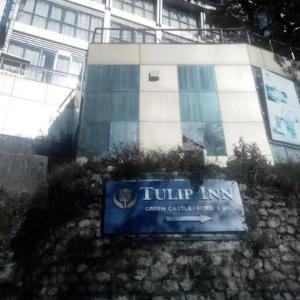 Golden Tulip