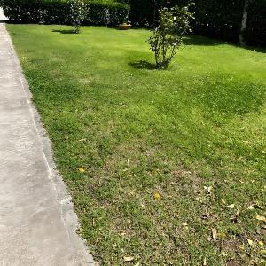 Duca D'Aosta Suite a Viareggio