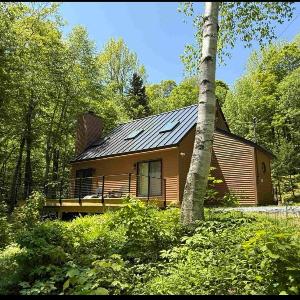 Cozy Luxe Cabin 7 min to Mt Snow