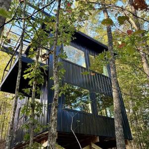 Come stay in a magical cabin with a bedroom in the trees