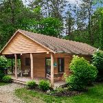 Cozy and secluded 2-bedroom Pine Grove Cabin Logan