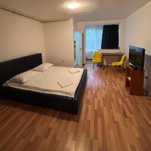 Take Ionescu 1 Room Apartament