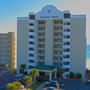 Tropical Winds 701