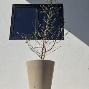 Bermejo Hostel LAP