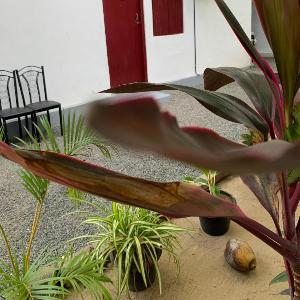 Lathu - zen Stay Hotal