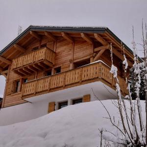 Chalet spacieux avec Wi-Fi et parking animaux admis - FR-1-671-324