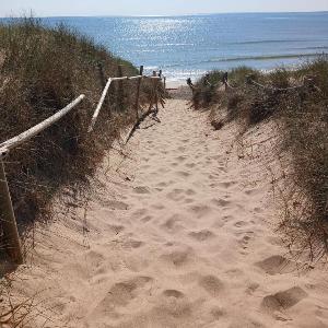 Appartement bord de plage