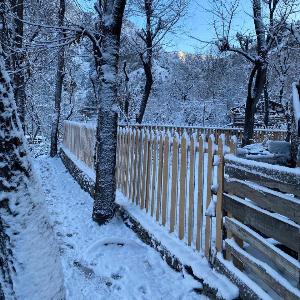 Kalash Echo Lodge