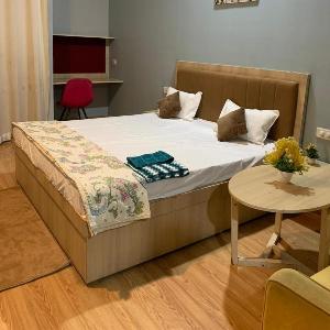Tulip Stay WD City View