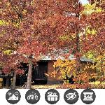 Smoky Mountain Memories cabin