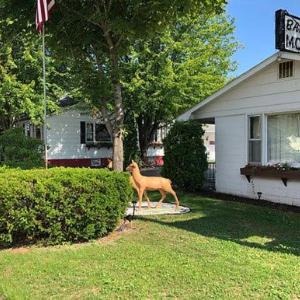 Bambi Motel