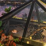 Hotel in Cairo 